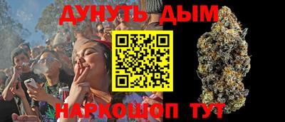 сатива Гусев