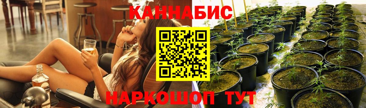 Бошки марихуана THC 21% Ливны